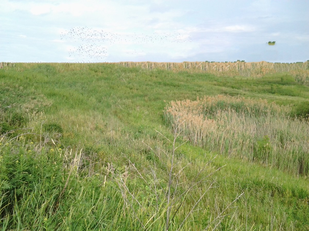 Sun border-porn / The most minor non-toxic&nbsp;optimism