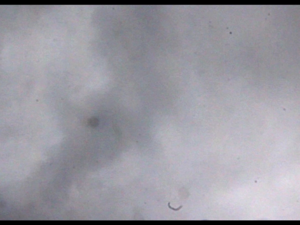 Now With Loud Noises Since Words Are Never&nbsp;Enough