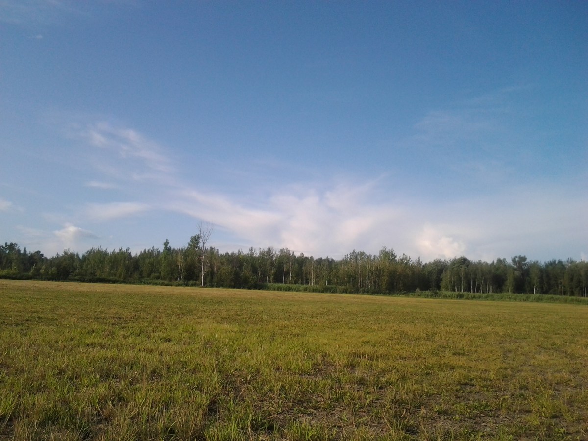 1 Year Ago Today&nbsp;Dismantling