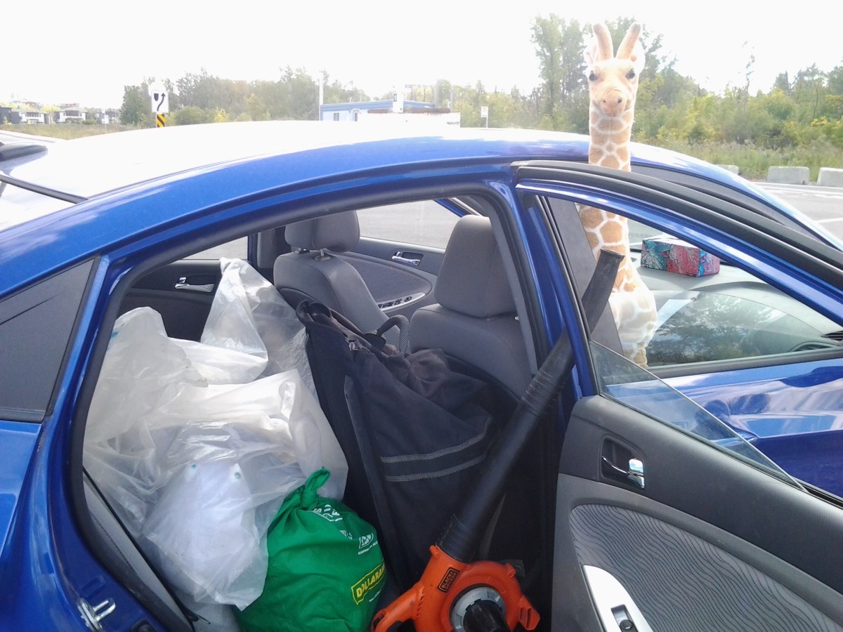 Day 21,909 of&nbsp;30,000