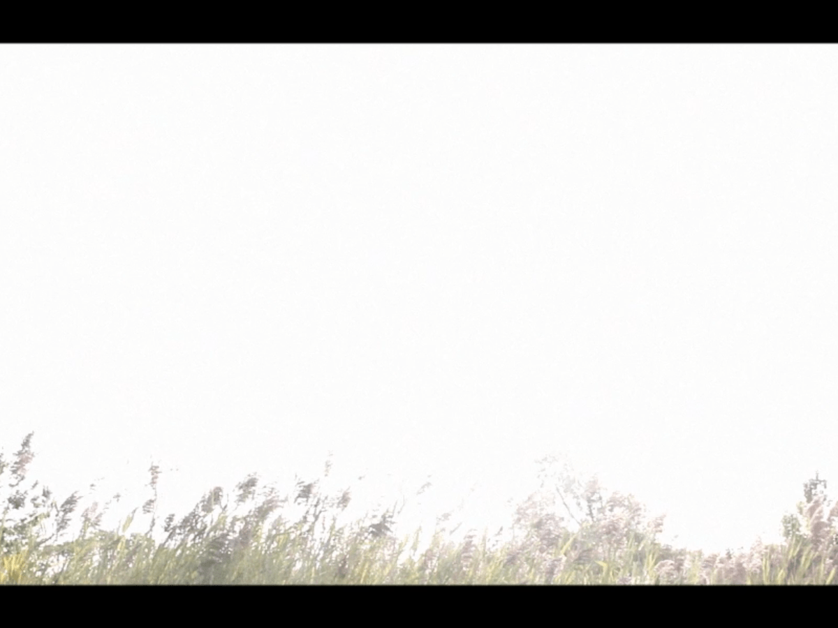 Shot On A Wasteland&nbsp;Saturday