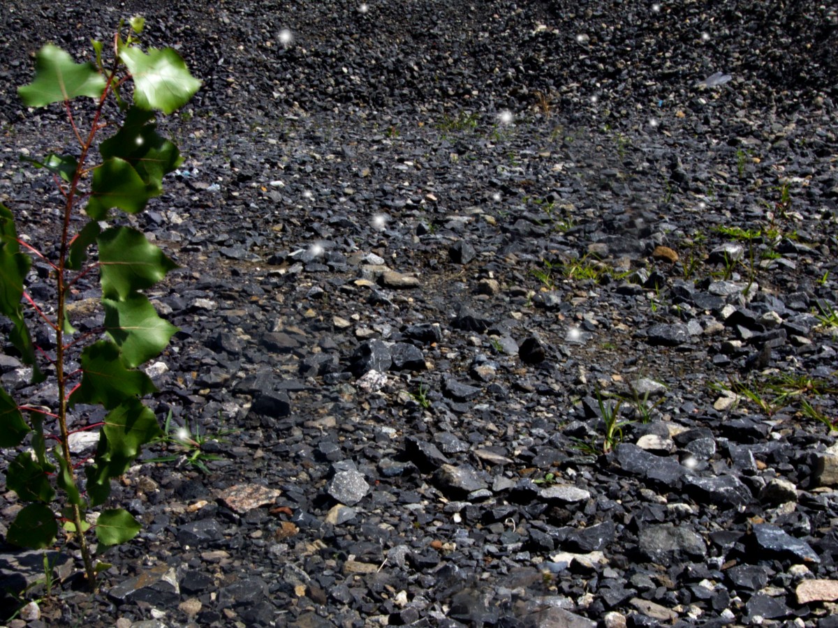 Projection Canvas For The Collective Cartoon-Level Holiday&nbsp;Sorrow