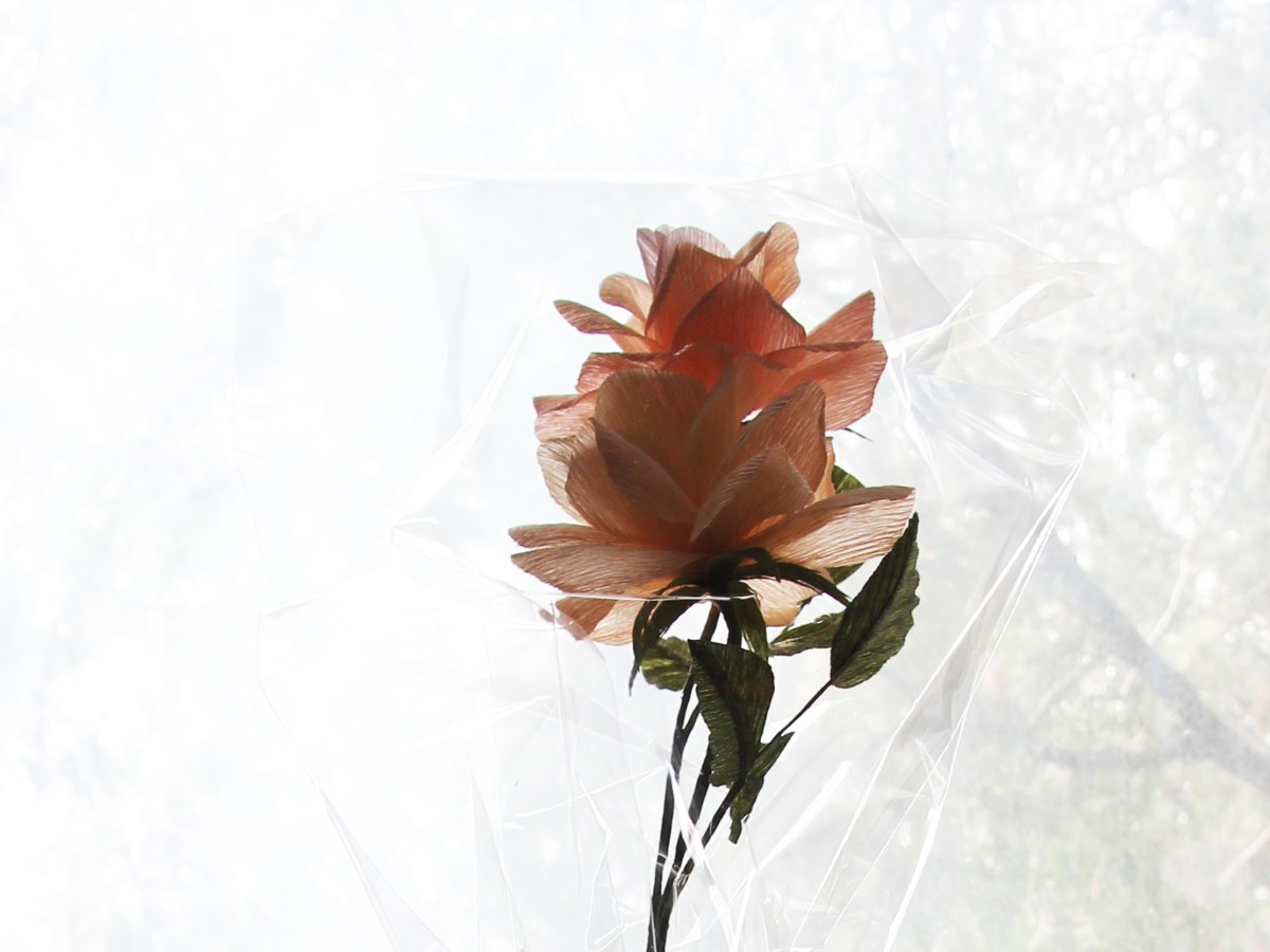 How do I want to spend the 29th year of my&nbsp;life